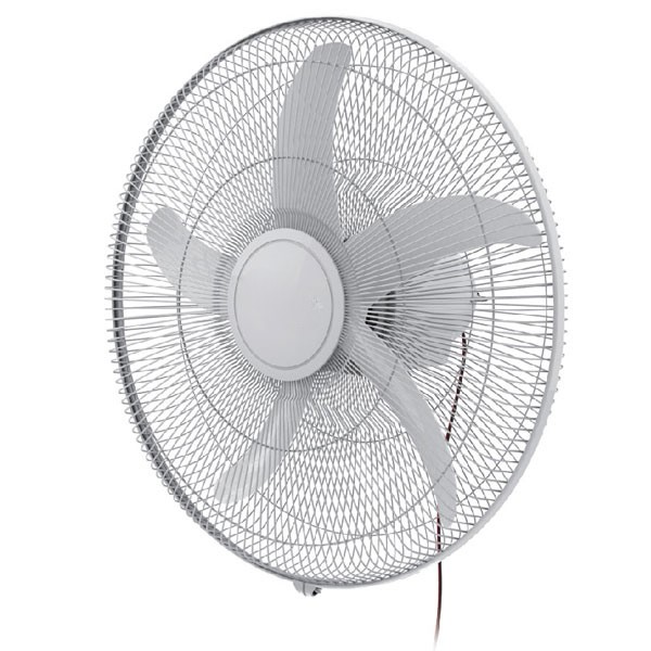 16 inch Jally