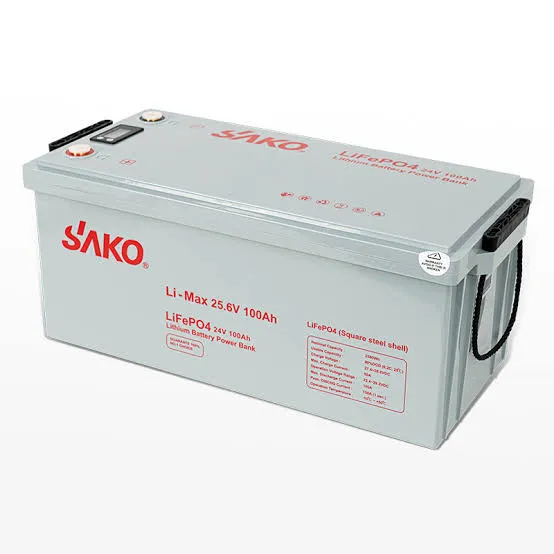 LI-Max 25.6v100AH